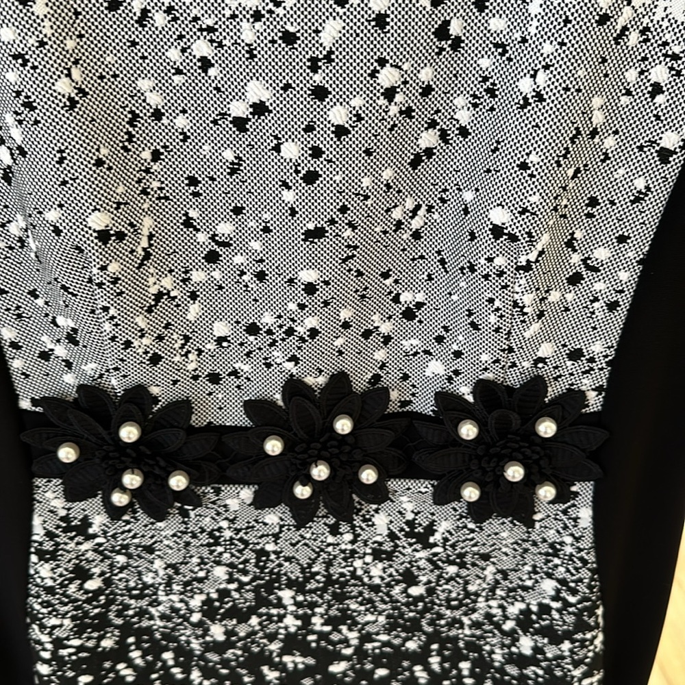 Joseph Ribkoff dress - Picture 2 of 5
